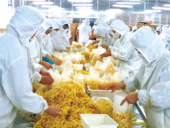 食品加工及存储产业的现状与未来趋势